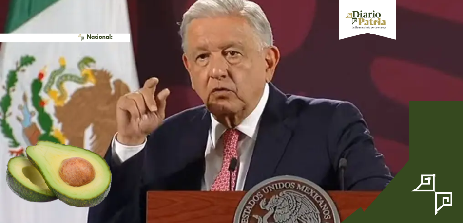 AMLO asegura que hoy se resolverá la suspensión de exportaciones de aguacate a EE.UU.