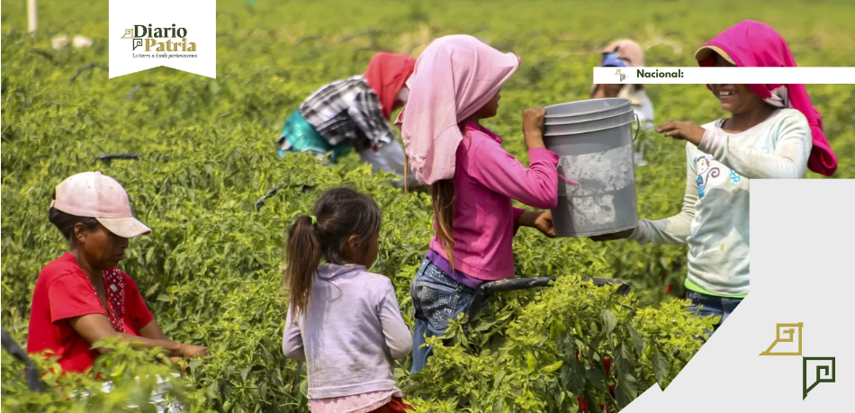 Día Mundial contra el Trabajo Infantil: La situación en México y los derechos de la niñez