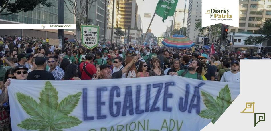 Tribunal Supremo de Brasil aprueba la despenalización de la marihuana para uso personal