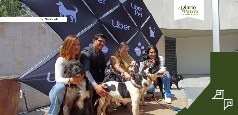 Uber Pet: Nueva opción para viajar con mascotas