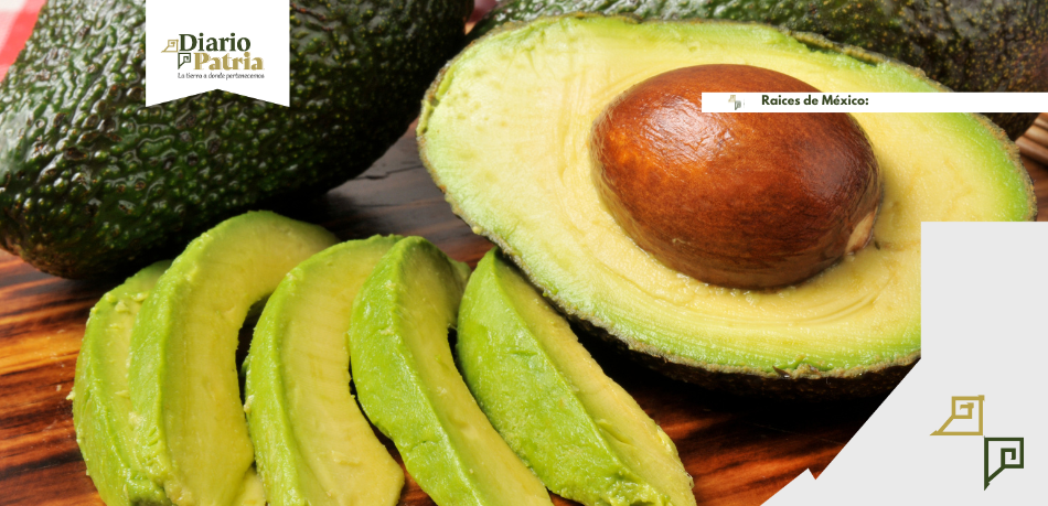 El Oro Verde: Beneficios y Celebración del Aguacate en su Día Internacional