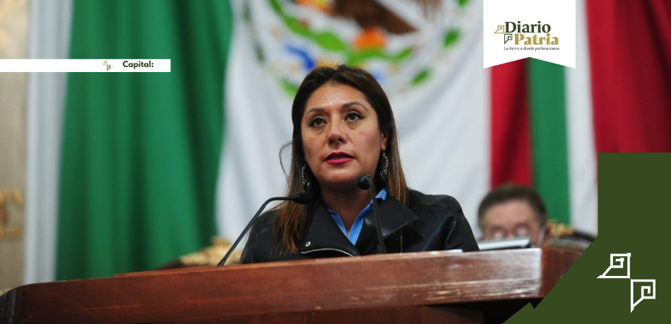 Xóchitl Bravo, nueva coordinadora de Morena en CDMX