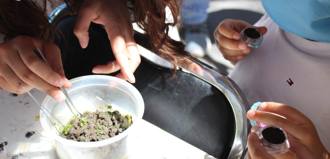 Talleres, ciencia y exploración al aire libre en el Museo de Historia Natural y el CCA Chapultepec