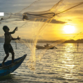 Día Mundial de la Pesca: el reconocimiento global a quienes llevan alimento a nuestras mesas