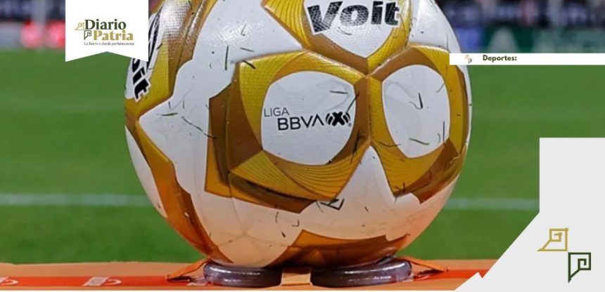 Semifinales de Liga MX: partidos de ida, horarios y canales para verlos en vivo