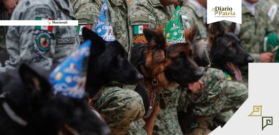 DP Nacional Héroes de cuatro patas: el otro rostro del Ejército Mexicano