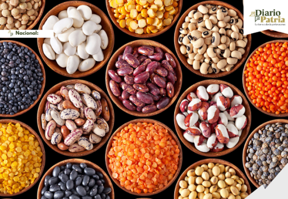 Legumbres: pequeñas, pero clave para la economía