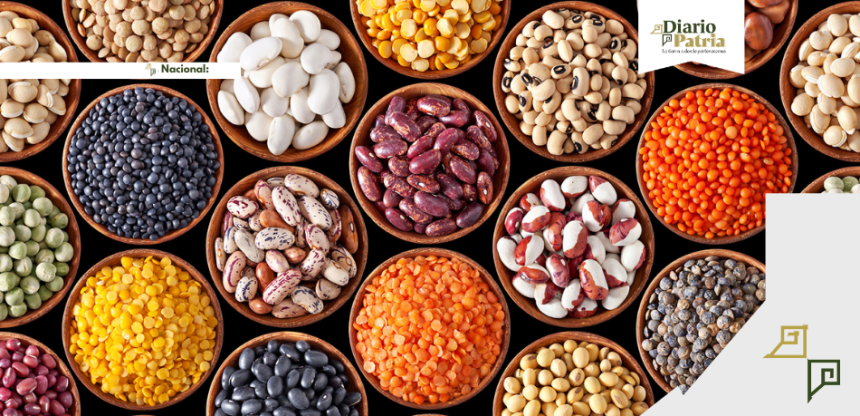 Legumbres: pequeñas, pero clave para la economía