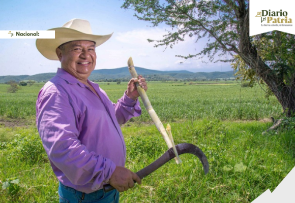 Impulsa AGRICULTURA mejor acceso a financiamiento para el sector cañero e incorporación a programas del bienestar