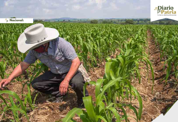 Economía mexicana creció 0.8% en 2025 impulsada por el último trimestre: INEGI