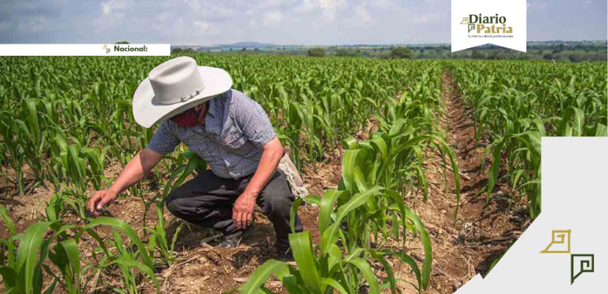 Economía mexicana creció 0.8% en 2025 impulsada por el último trimestre INEGI Economía mexicana creció 0.8% en 2025 impulsada por el último trimestre: INEGI