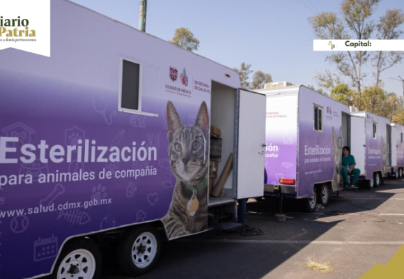 Arranca mega jornada de esterilización en CDMX; meta: 150 mil cirugías gratuitas para michis y lomitos