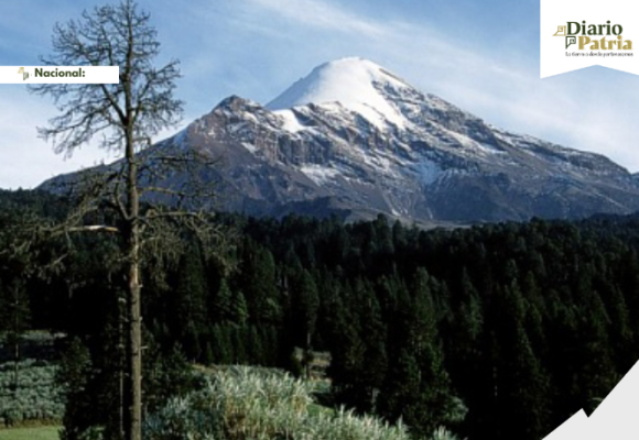 México no sólo tiene paisajes bonitos: así late uno de los territorios más biodiversos del planeta