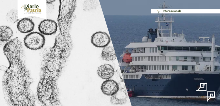 Brote de hantavirus en crucero MV Hondius: cepa ‘Andes’ se transmite entre humanos y sin cura